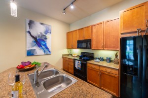 Two Bedroom Apartments for Rent in Houston, TX - Model Kitchen with Breakfast Bar  